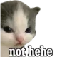z_nadianothehe z_nadianothehe