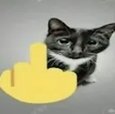 Catdedo Discord Emoji