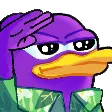 platySALUTE platySALUTE