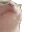 catJAM