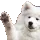 Dog_wave