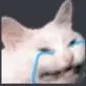 em_CryingCat