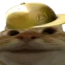 CapCat CapCat
