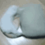 ch_catgenerator Discord emoji