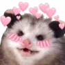 1B_opossumlove