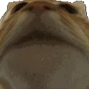 tc_nod