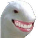teeth