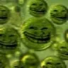 trollvirus Discord Emoji