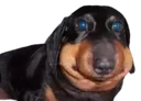 ermm ermm