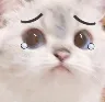 kamcrai