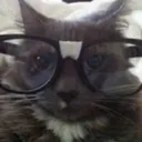 CInerdcat CInerdcat