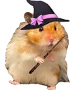 Toto