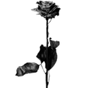 deadrose Discord emoji