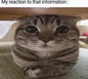 Screenshot_20220525183832_Instag