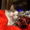 sleepy sleepy