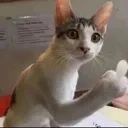 zNoble_catfacku Discord Emoji