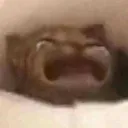 AHHHH