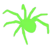 spider_green1