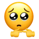 pleading
