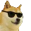 Cooldoge Cooldoge