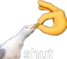 shut