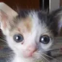 CIautisticstare CIautisticstare