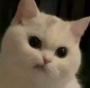 anyway_n Discord emoji