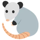 possum
