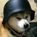 bonk