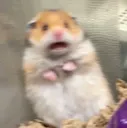 scared scared