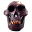 a_skull