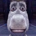 donky