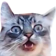 MiloShocked MiloShocked