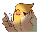 Birbbored Discord Emoji