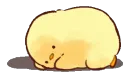 hide