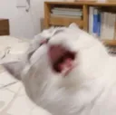 AAAAAAAAAAAAAAAAA AAAAAAAAAAAAAAAAA