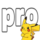 pro