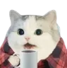 catcoffee