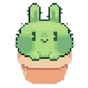 bunnycactus_BT