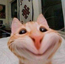 cat_smile Discord emoji