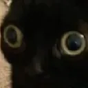 concernedstare