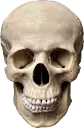 skullreaction