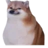 Doobert