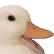 DuckHappy0