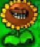 TrollFlower TrollFlower