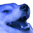 rainbowkek