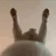 CatHump3