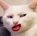 iishhh