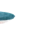 blahaj4