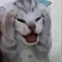 AAAAAAA AAAAAAA